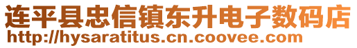 连平县忠信镇东升电子数码店