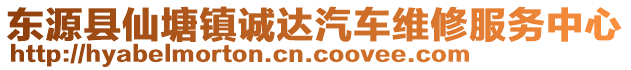 東源縣仙塘鎮(zhèn)誠達汽車維修服務(wù)中心