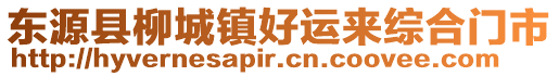 東源縣柳城鎮(zhèn)好運(yùn)來綜合門市