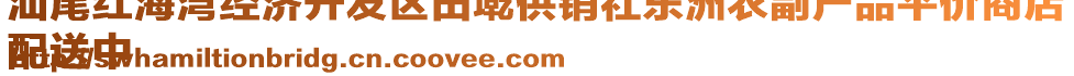 汕尾紅海灣經(jīng)濟(jì)開發(fā)區(qū)田墘供銷社東洲農(nóng)副產(chǎn)品平價(jià)商店
配送中