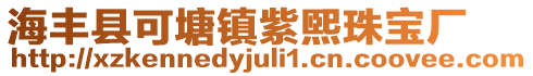 海豐縣可塘鎮紫煕珠寶廠