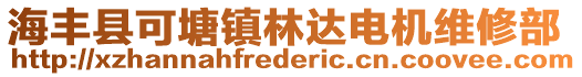 海豐縣可塘鎮(zhèn)林達(dá)電機(jī)維修部