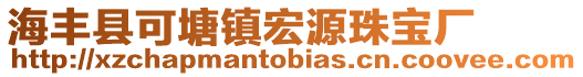 海丰县可塘镇宏源珠宝厂