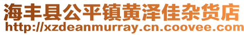 海豐縣公平鎮黃澤佳雜貨店