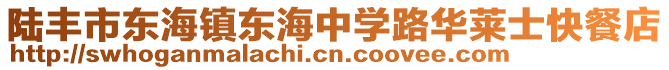 陸豐市東海鎮東海中學路華萊士快餐店