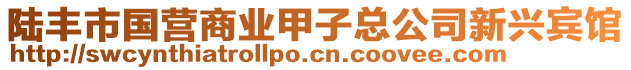 陸豐市國(guó)營(yíng)商業(yè)甲子總公司新興賓館