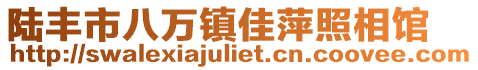 陸豐市八萬鎮佳萍照相館