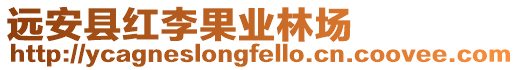 遠安縣紅李果業(yè)林場