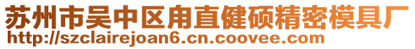 蘇州市吳中區(qū)甪直健碩精密模具廠