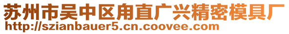 蘇州市吳中區(qū)甪直廣興精密模具廠