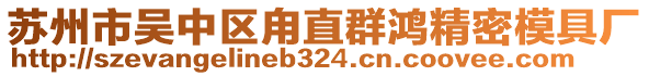 蘇州市吳中區(qū)甪直群鴻精密模具廠