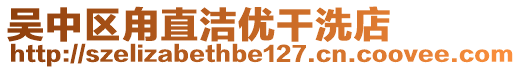 吳中區甪直潔優干洗店