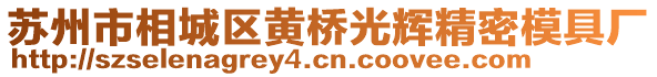 蘇州市相城區(qū)黃橋光輝精密模具廠