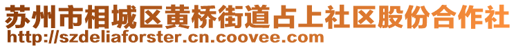 蘇州市相城區(qū)黃橋街道占上社區(qū)股份合作社