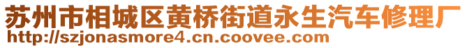蘇州市相城區(qū)黃橋街道永生汽車修理廠