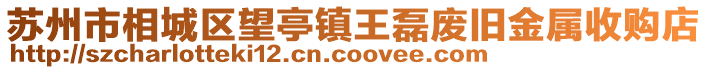 蘇州市相城區望亭鎮王磊廢舊金屬收購店