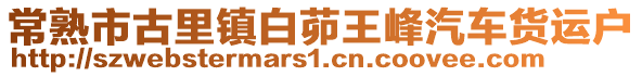常熟市古里鎮(zhèn)白茆王峰汽車貨運(yùn)戶