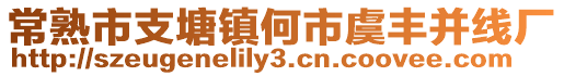 常熟市支塘鎮何市虞豐并線廠