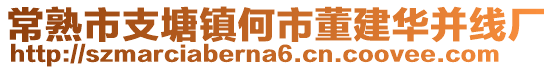 常熟市支塘鎮(zhèn)何市董建華并線廠