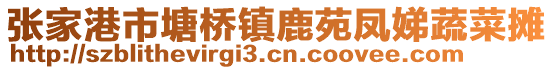 張家港市塘橋鎮(zhèn)鹿苑鳳娣蔬菜攤