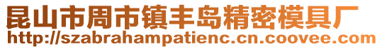 昆山市周市鎮豐島精密模具廠