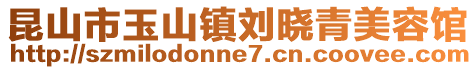 昆山市玉山鎮(zhèn)劉曉青美容館