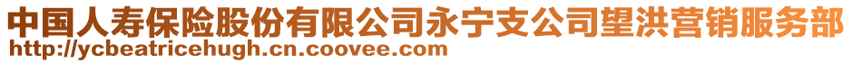 中國人壽保險股份有限公司永寧支公司望洪營銷服務部