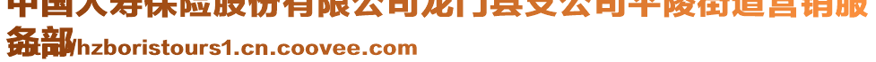 中國(guó)人壽保險(xiǎn)股份有限公司龍門(mén)縣支公司平陵街道營(yíng)銷(xiāo)服
務(wù)部