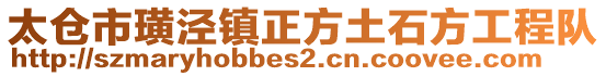 太倉(cāng)市璜涇鎮(zhèn)正方土石方工程隊(duì)