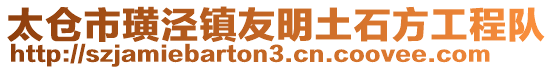 太倉(cāng)市璜涇鎮(zhèn)友明土石方工程隊(duì)