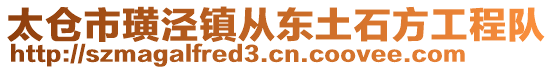 太倉(cāng)市璜涇鎮(zhèn)從東土石方工程隊(duì)