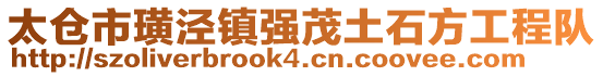 太倉(cāng)市璜涇鎮(zhèn)強(qiáng)茂土石方工程隊(duì)