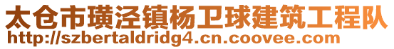 太倉(cāng)市璜涇鎮(zhèn)楊衛(wèi)球建筑工程隊(duì)
