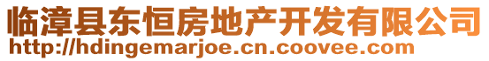 臨漳縣東恒房地產(chǎn)開發(fā)有限公司