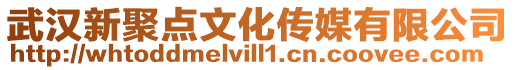 武漢新聚點(diǎn)文化傳媒有限公司