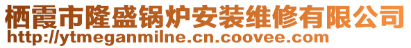 棲霞市隆盛鍋爐安裝維修有限公司