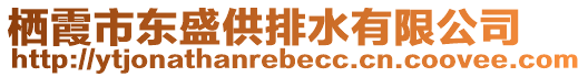 棲霞市東盛供排水有限公司