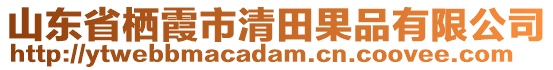 山東省棲霞市清田果品有限公司