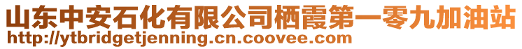 山東中安石化有限公司棲霞第一零九加油站