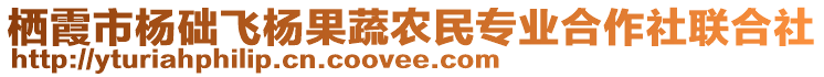 棲霞市楊礎飛楊果蔬農民專業(yè)合作社聯(lián)合社