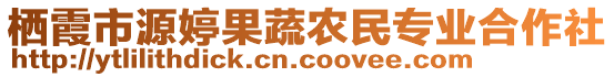 棲霞市源婷果蔬農(nóng)民專業(yè)合作社