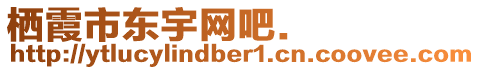 棲霞市東宇網(wǎng)吧.