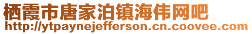 棲霞市唐家泊鎮海偉網吧