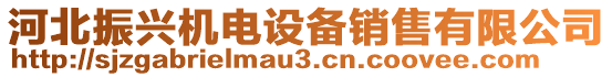 河北振興機電設(shè)備銷售有限公司