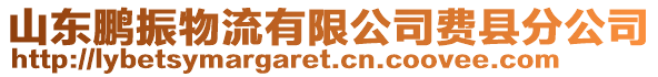 山東鵬振物流有限公司費縣分公司