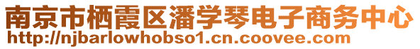 南京市棲霞區(qū)潘學(xué)琴電子商務(wù)中心