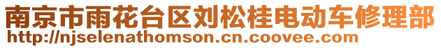 南京市雨花臺區(qū)劉松桂電動車修理部