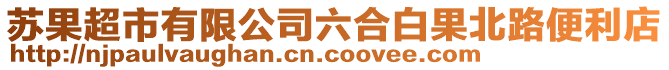 蘇果超市有限公司六合白果北路便利店