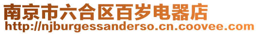 南京市六合區(qū)百歲電器店