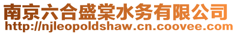 南京六合盛棠水務(wù)有限公司